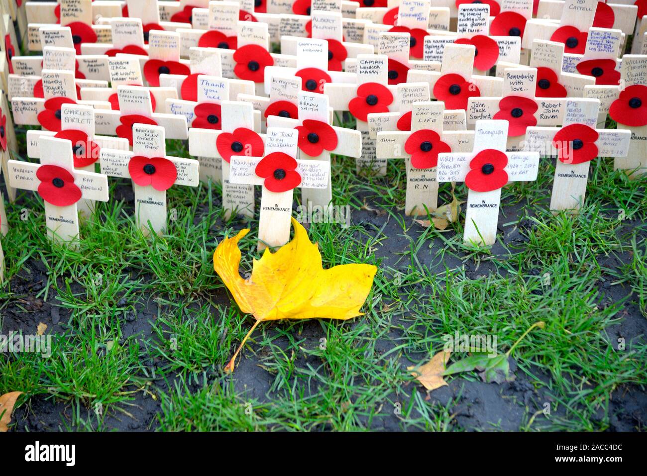 London, England, UK. Kreuze und Mohn auf dem Gelände von Westminster Abbey für Erinnerung Sonntag (2019) Stockfoto