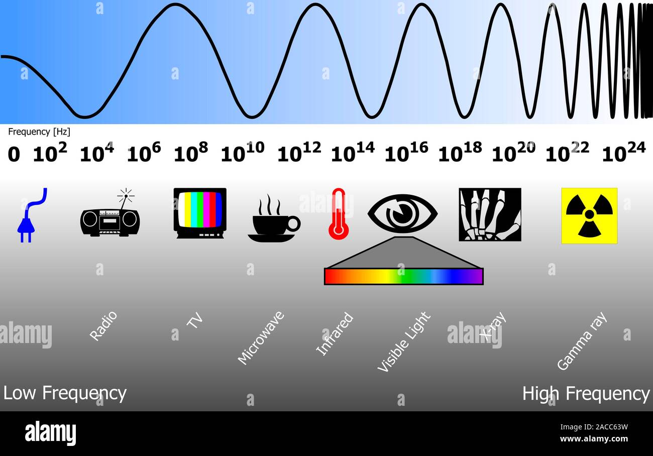 Elektromagnetisches Spektrum. Diagramm mit den wechselnden Wellenlängen elektromagnetischer (EM) Strahlung (oben) und die entsprechenden Frequenzen in Hertz Stockfoto