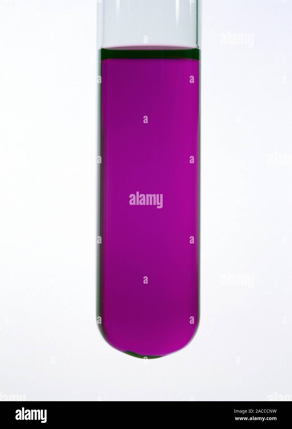 Vanadium Lösung. Reagenzglas mit Vanadium (II)Lösung (VO2+). Vanadium