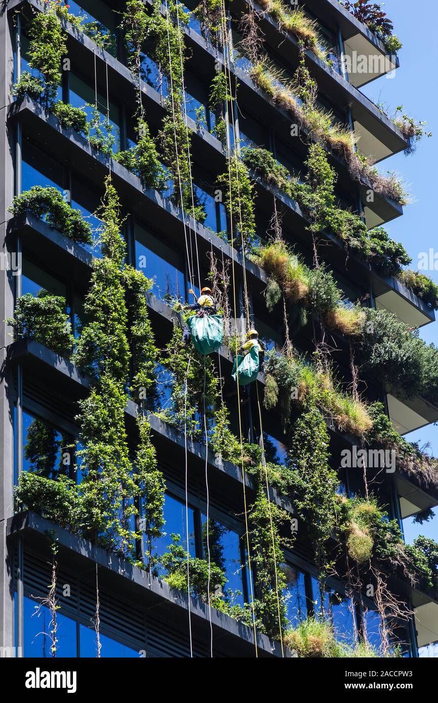 Allgemeine Ansichten mit einem zentralen Park, um Chippendale Grün, Sydney gebaut wird. Das Gebäude selbst wurde vom award-winning Pariser arc Stockfoto