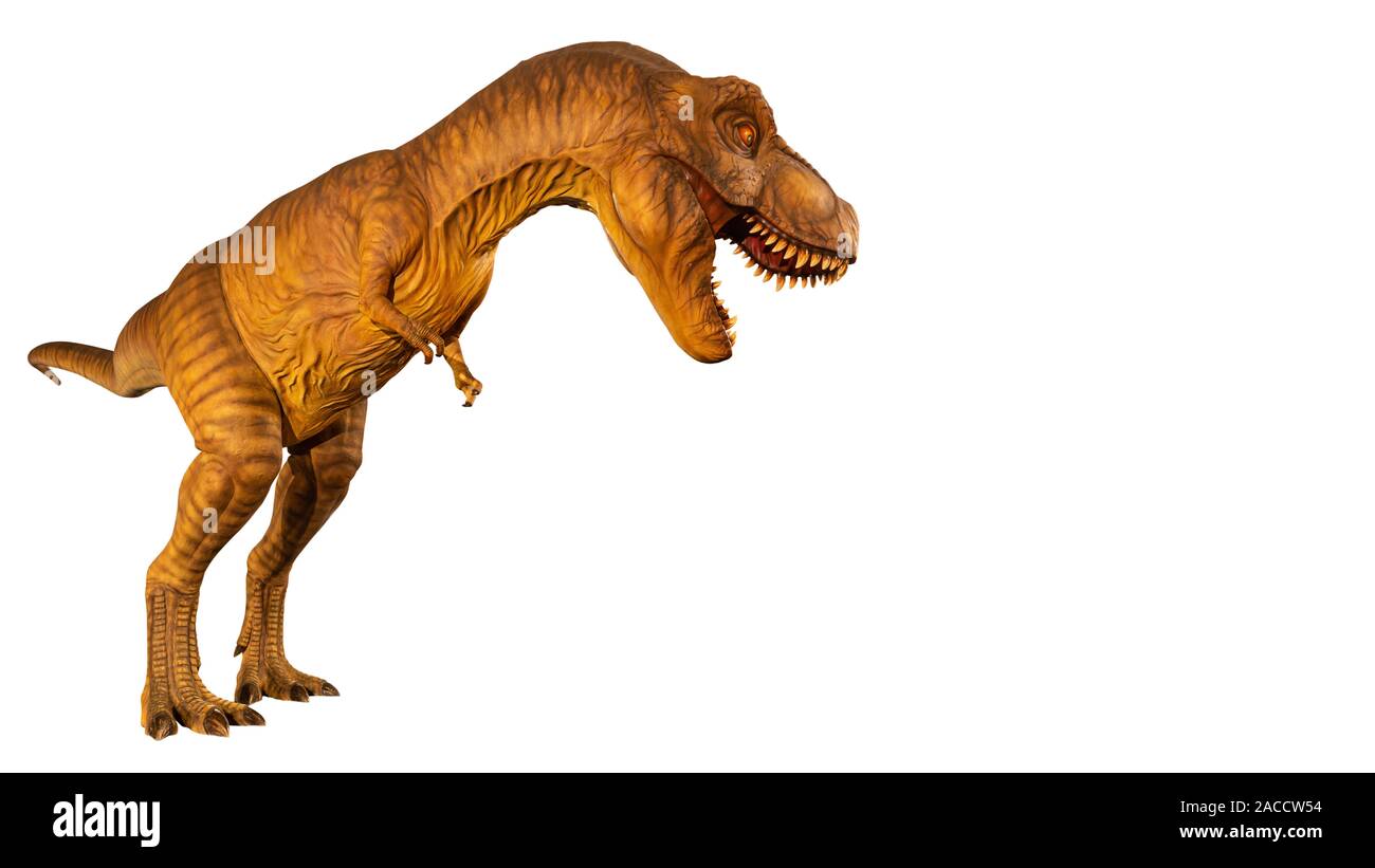 Tyrannosaurus rex (T-Rex) ist zu Fuß oder mit offenen Mund und kopieren Sie Platz auf der rechten Seite. Von der Seite. Weiß isoliert Hintergrund. Dinosaurier in Jurassic Pero Stockfoto