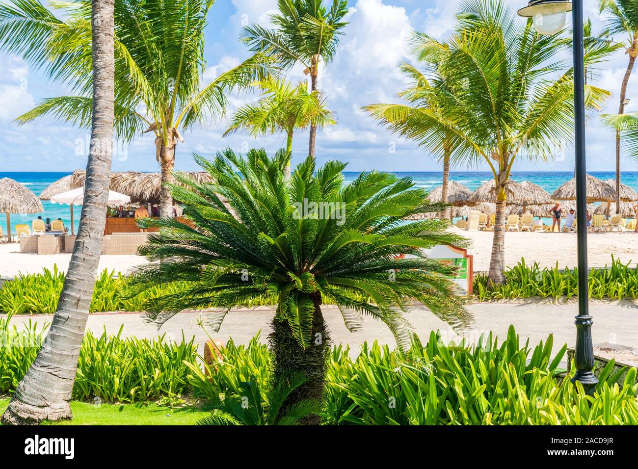 Punta Cana, Dominikanische Republik - 21. Oktober 2019: Schöner Strand in Punta Cana, Dominikanische Republik. Stockfoto