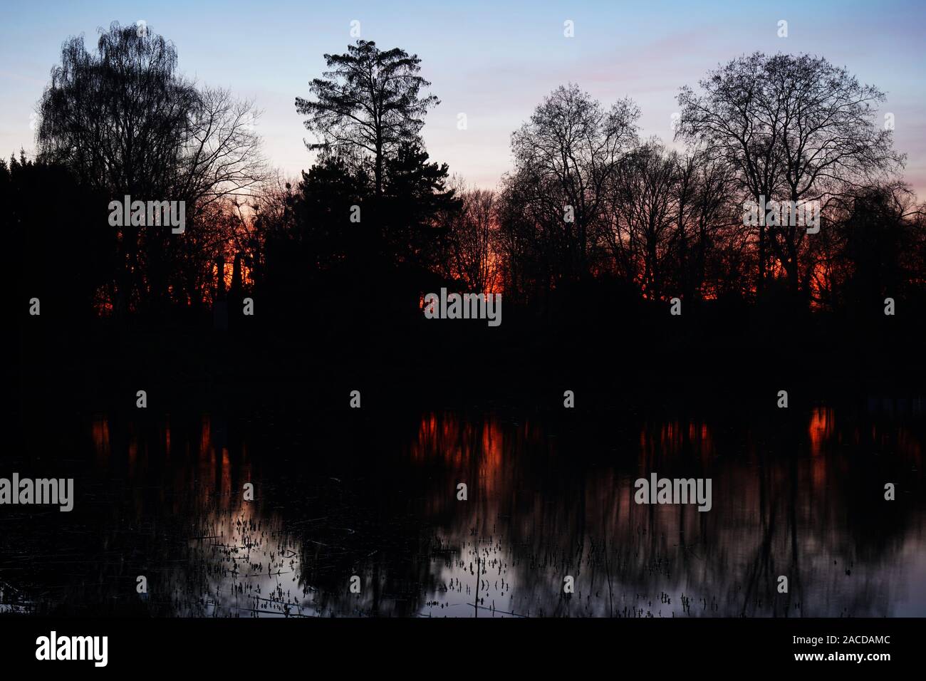 Dunkel und Moody Sonnenuntergang über See oder Teich mit Silhouette der kahlen Bäume Stockfoto
