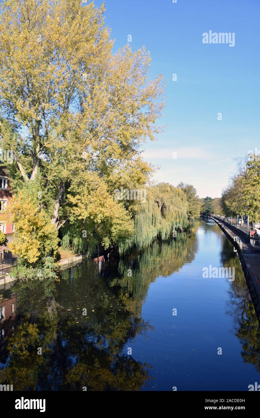 Herbstliche Farben, Fluss Wensum, Norwich UK November 2019 Stockfoto