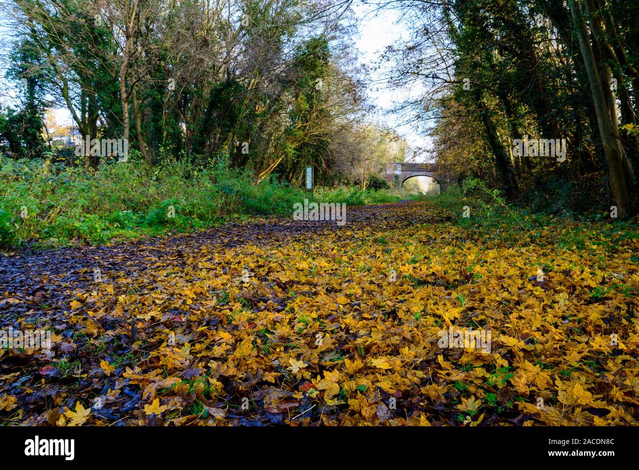 Die alte Eisenbahn gehen Das ist die alte Trasse einer Eisenbahn von Sudbury zu Cambridge, welche nunmehr die Clare Castle Country Park in Suffolk, E Stockfoto