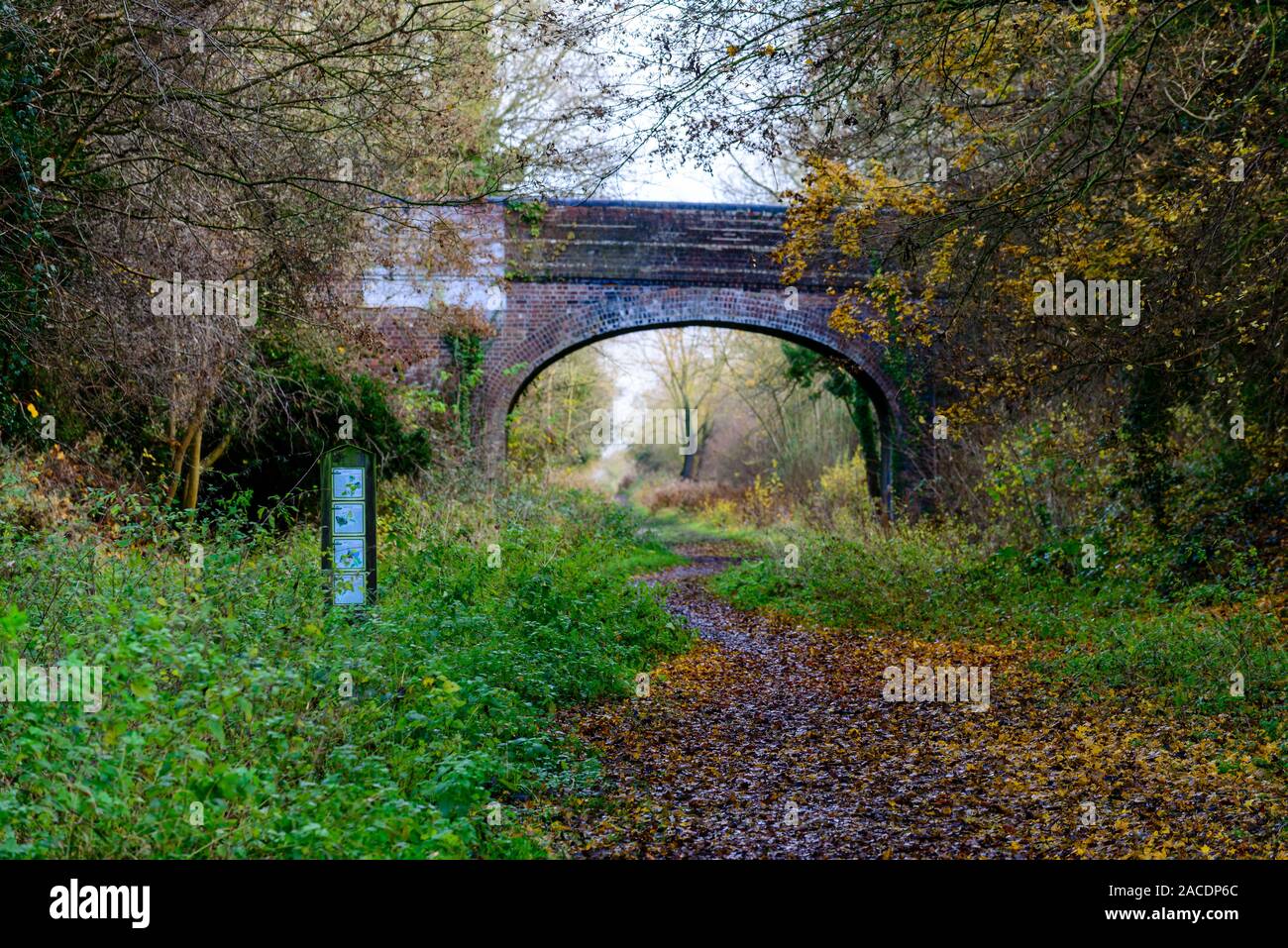 Die alte Eisenbahn gehen Das ist die alte Trasse einer Eisenbahn von Sudbury zu Cambridge, welche nunmehr die Clare Castle Country Park in Suffolk, E Stockfoto