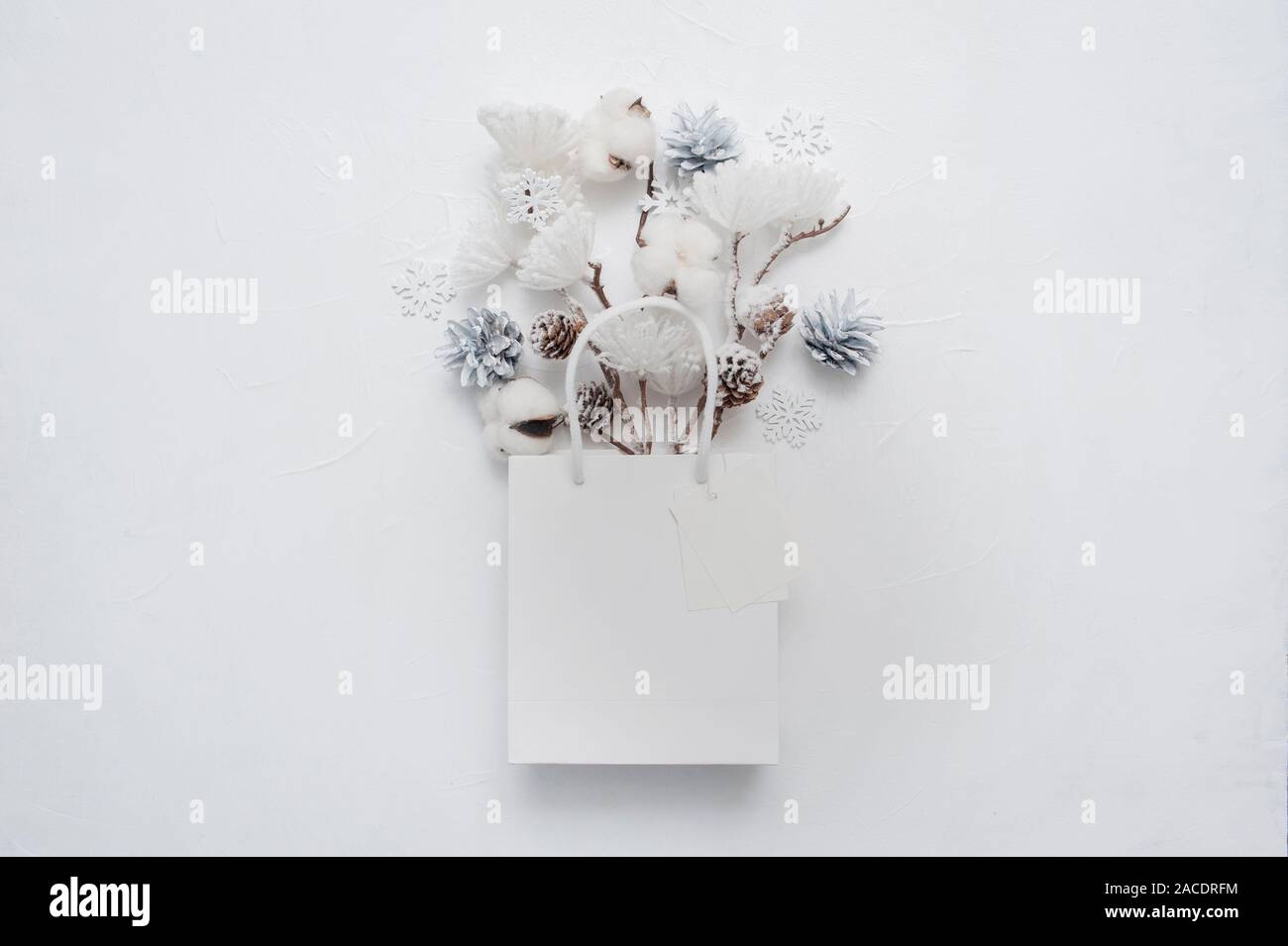 Weihnachten mock up von getrockneten Blumenstrauß aus Baumwolle Blumen, Kegel und Schneeflocken in Weiß-Paket mit Platz für Ihren Text. Grußkarte Design für Poster Stockfoto