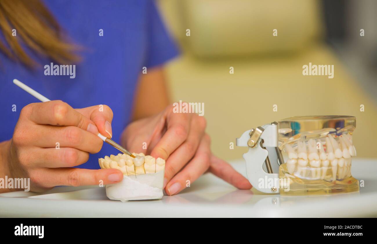 Arbeiten im zahntechnischen Labor Stockfoto