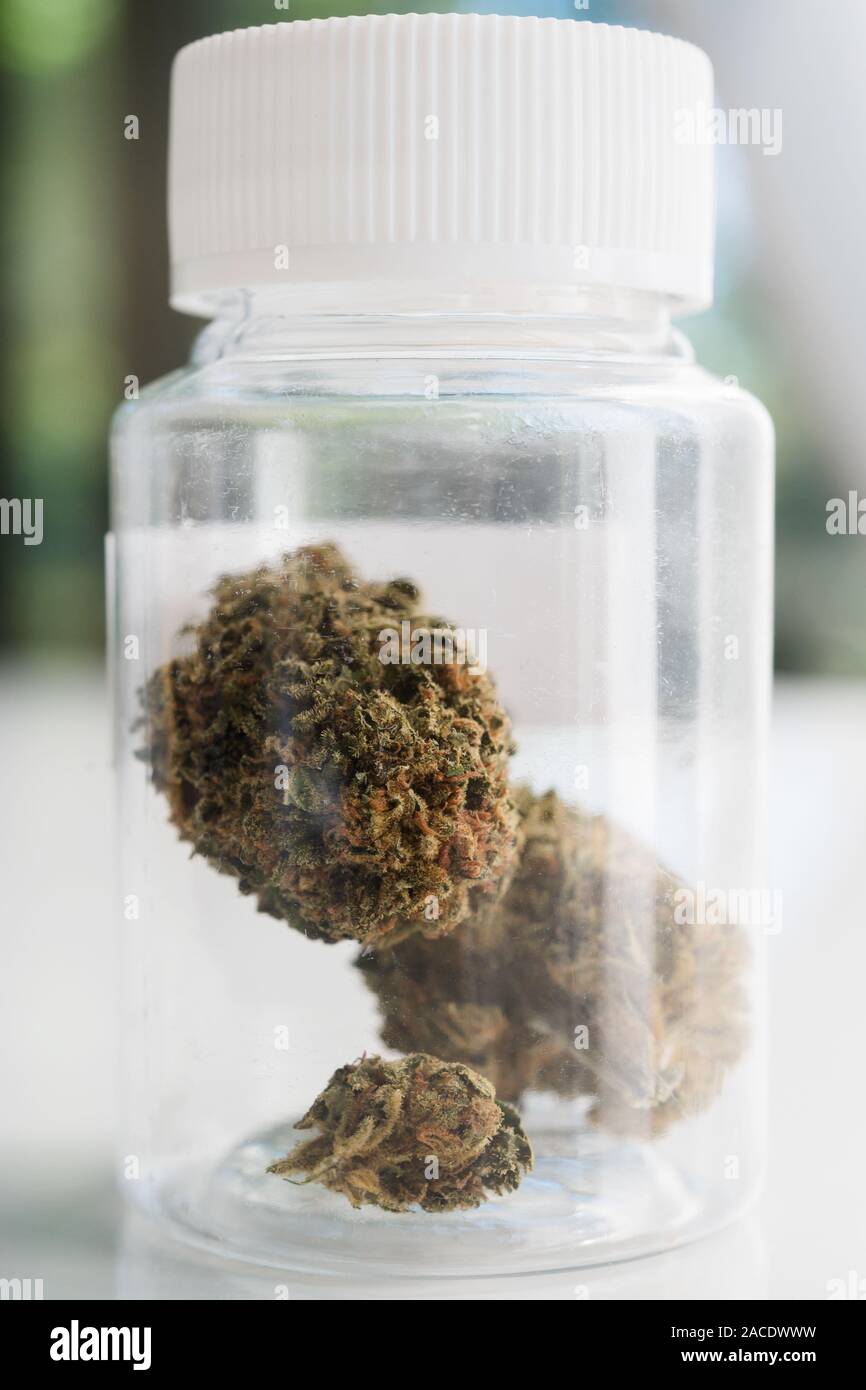 Medizinisches Marihuana in der Flasche Stockfoto