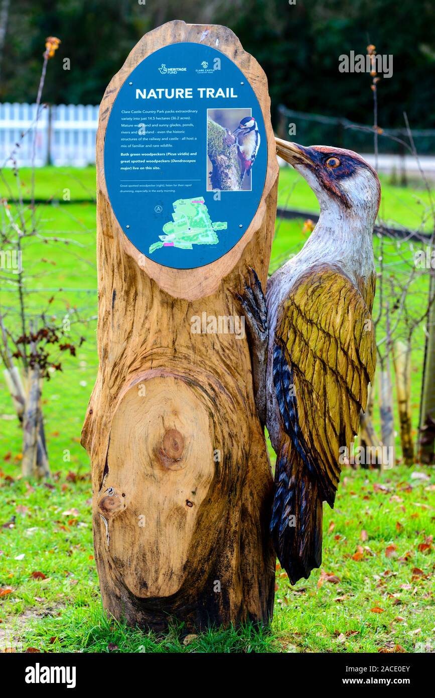 Ein grünspecht Holzskulptur und Naturlehrpfad Infotafel am Clare Castle Country Park in Suffolk, England, Großbritannien Stockfoto