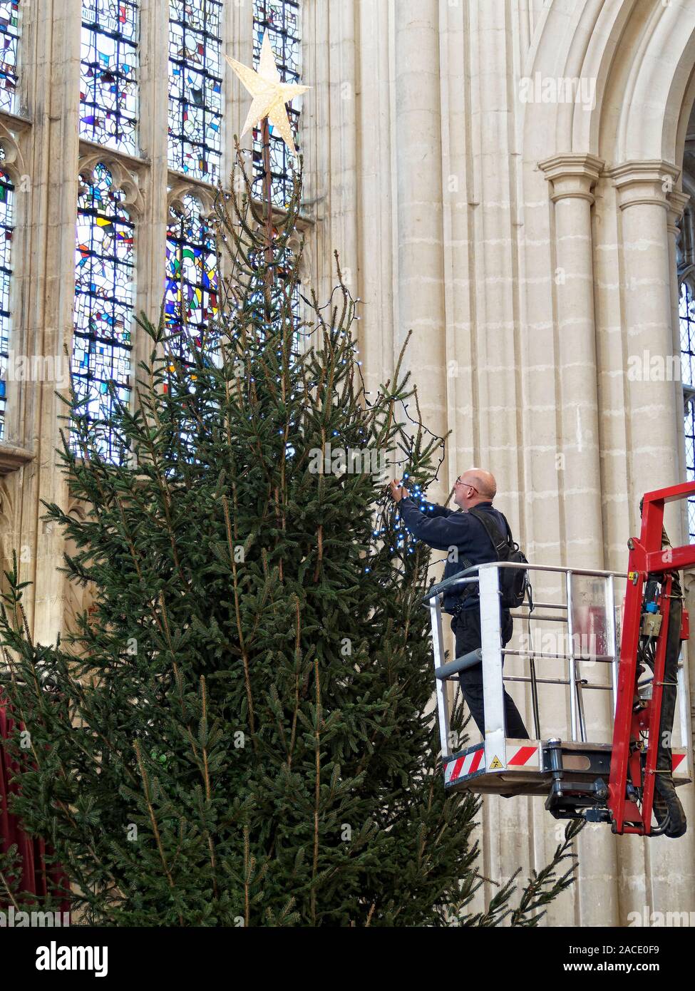 Schmücken den Weihnachtsbaum, Winchester Cathedral Stockfoto