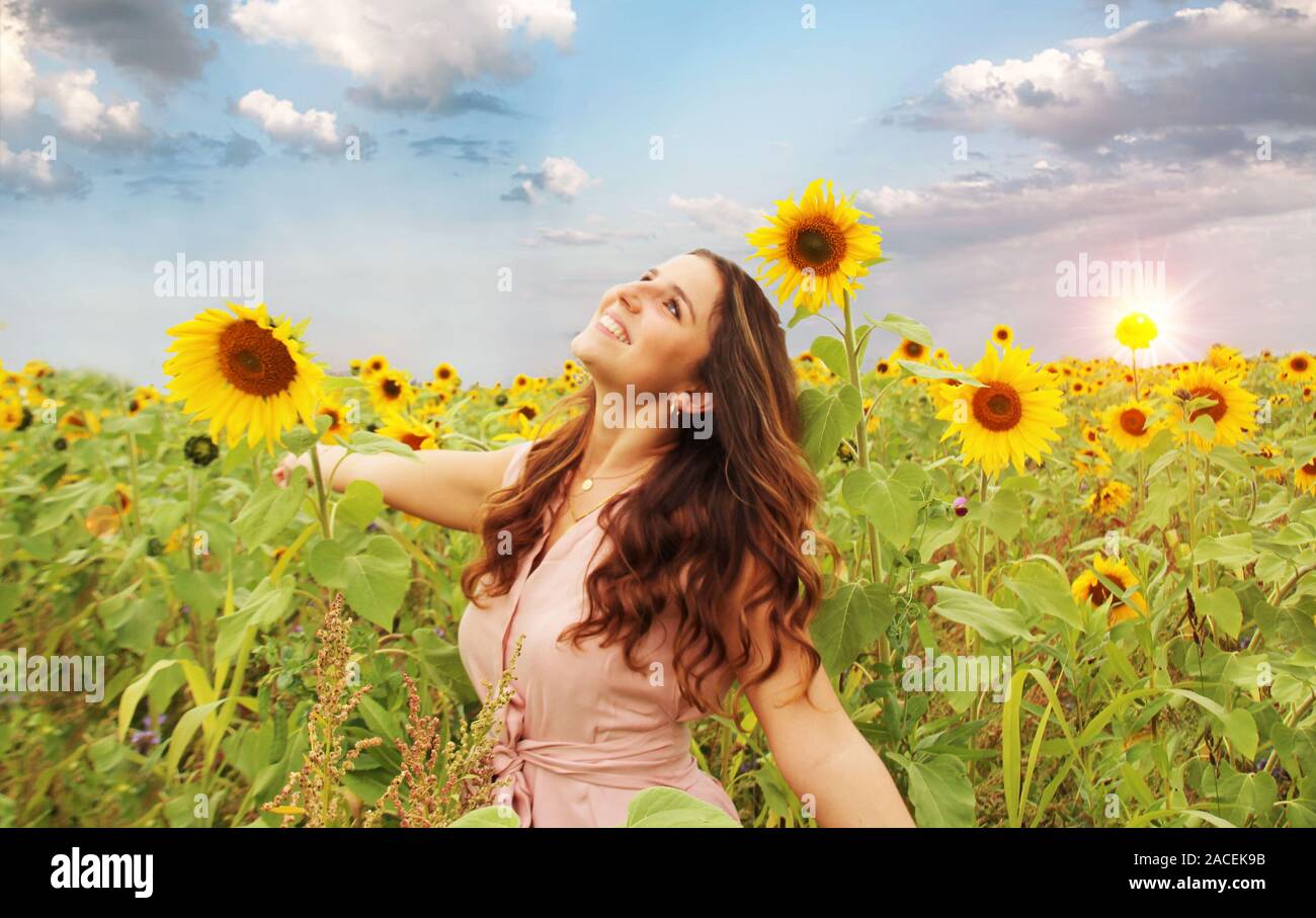 Schöne Frau in einem Sonnenblumenfeld Stockfoto