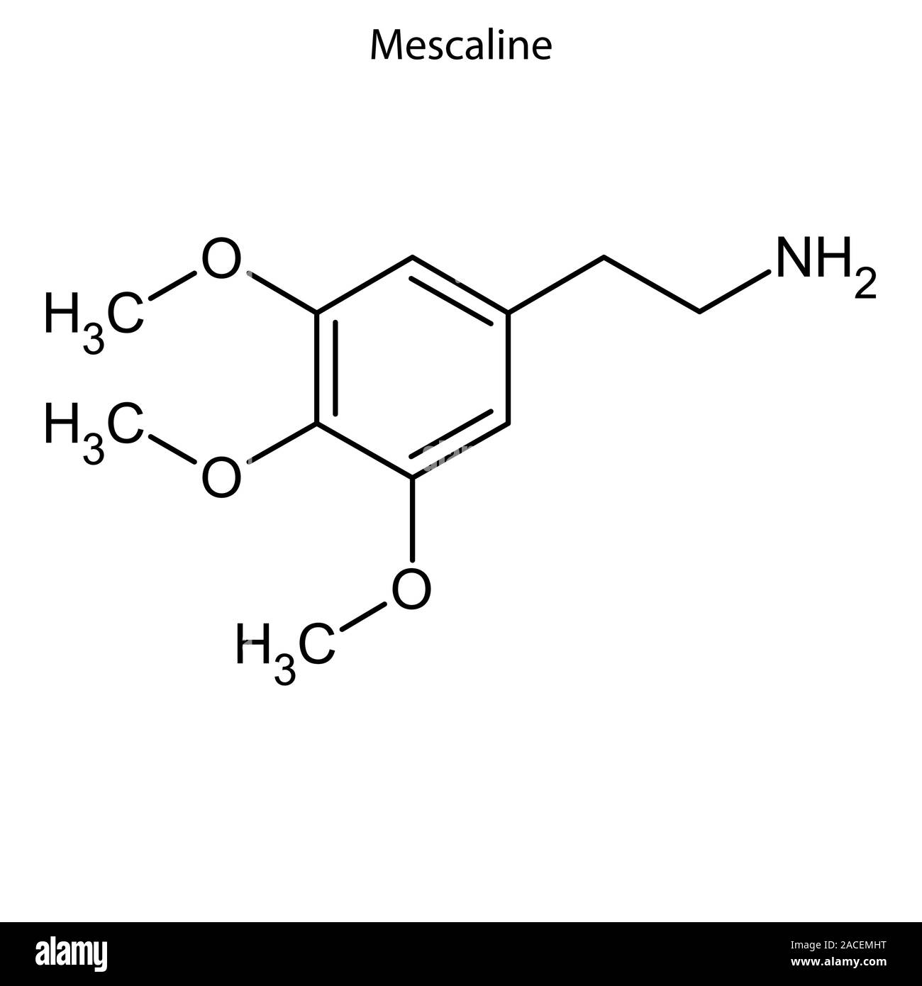 Skelettmuskulatur Formel von Meskalin. Chemische Molekül. Stock Vektor