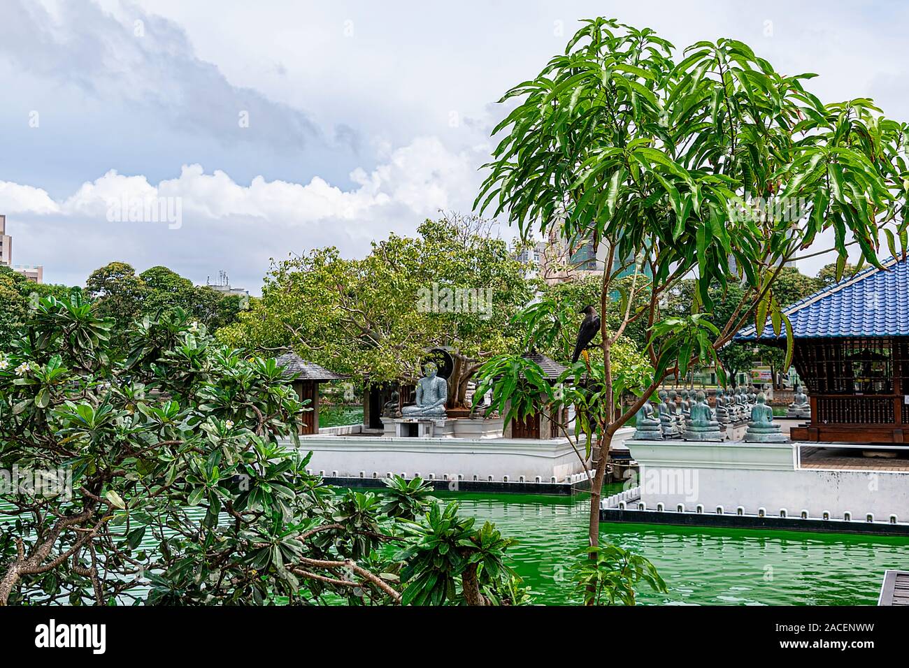 Sri Lanka, Colombo - August 2015: Buddha satautes an Seema Malaka, buddhistische Tempel Komplex an Biera See Stockfoto