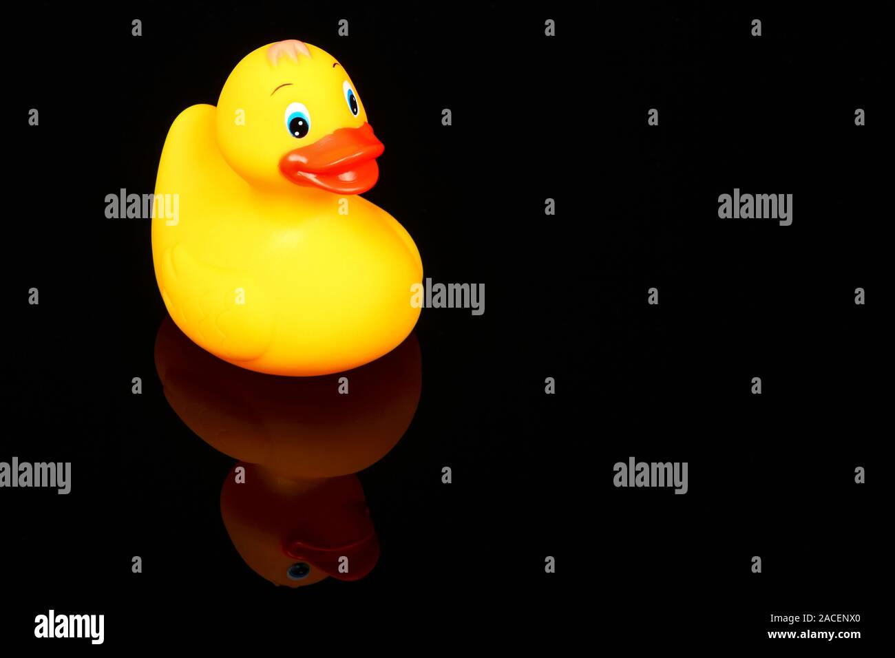 Gelb Kunststoff Bad Zeit Ente auf schwarzem Glas mit einer Reflexion Stockfoto