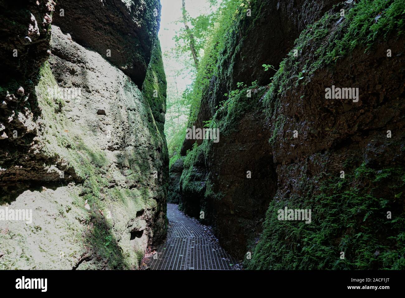 Wanderweg durch den Drachen Schlucht im Thüringer Wald in der Nähe von Eisenach Stockfoto