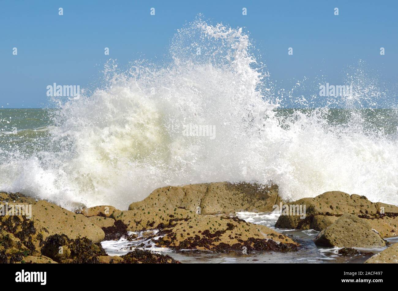 Wellen, Wellen, die über Felsen brechen, Wellen, die durch starke onshore Wind Absturz mit großer Kraft auf die Felsen getrieben. Stockfoto