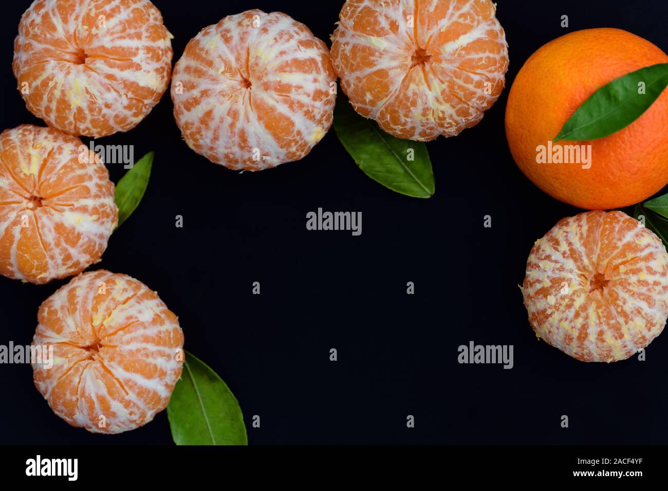 Der dunkle Hintergrund mit Textfeld durch Geschälte frische Tangerinen gerahmt Stockfoto