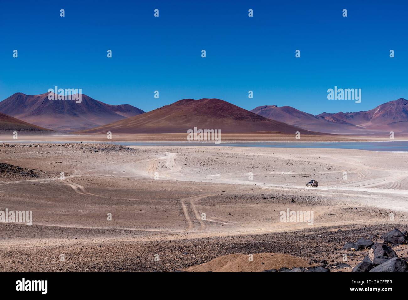 Laguna Blanca, Reserva Nacional de Fauna Andina Eduardo Avaroa, südlichen Altiplano, Abteilung Hagen, im Südwesten von Bolivien, Lateinamerika Stockfoto