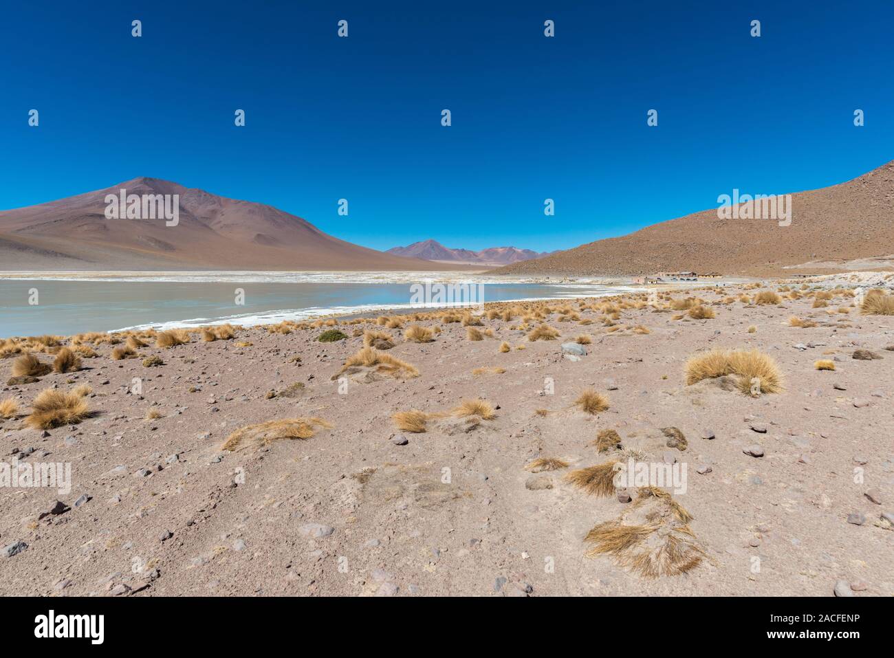 Laguna Polques, Park Reserva de Fauna Andina Eduardo Avaroa, im Südwesten von Bolivien, Potosi, südlichen Altiplano, Lateinamerika Stockfoto