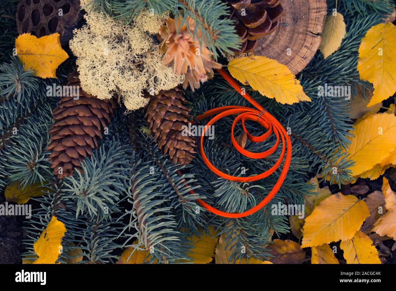 Schönen winter decration. Alle heiligen Blumenschmuck (Nahaufnahme) Friedhof Dekoration mit kiefernzapfen und gelbe Blätter Stockfoto