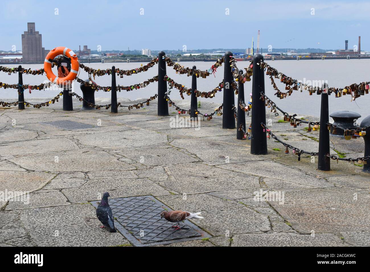 Vorhängeschlösser der Liebe durch den Fluss auf einem hellen, sonnigen Tag. Tauben durch eine Brücke und Stadtbild im Hintergrund. Liverpool, England Stockfoto