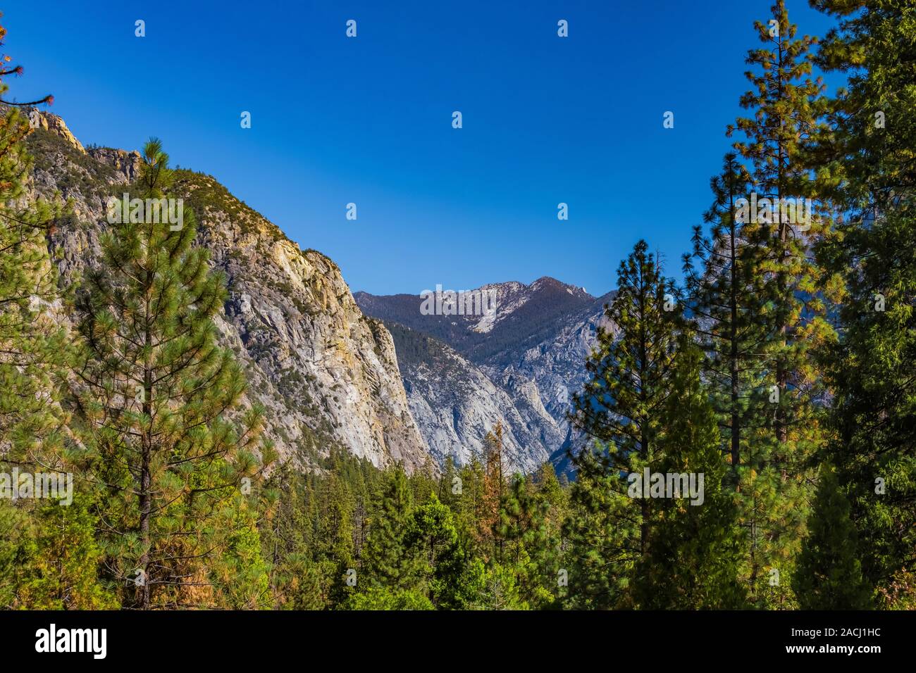 Blick entlang der Kings Canyon Scenic Byway, SR 180, durch Giant Sequoia National Monument, Sequoia National Forest, Kalifornien, USA Stockfoto