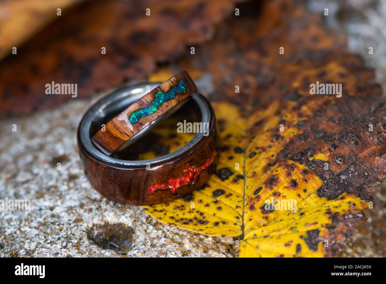 Paar Holz und Feuer opal Ringe sitzen auf Herbstlaub Stockfoto