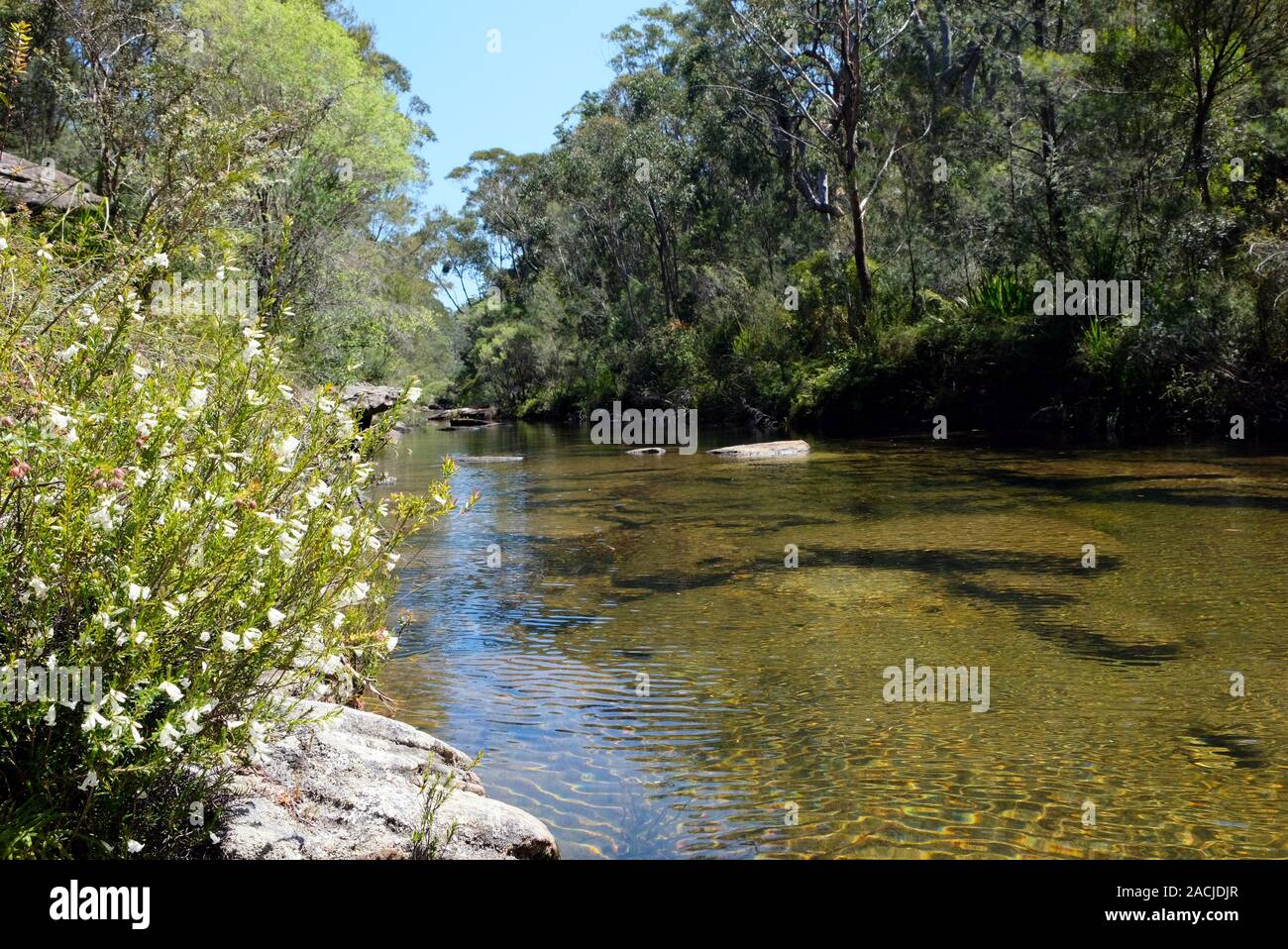 Karloo Pool ist ein beliebter Bade- und Picknickplatz im Royal National Park im Süden von Sydney, Australien Stockfoto