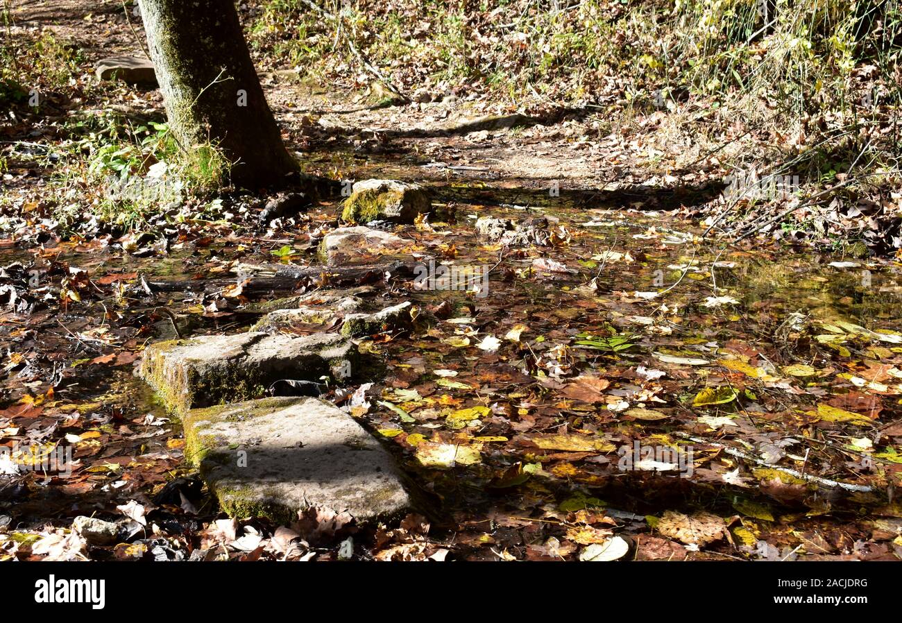 Steine durchqueren einen kleinen Bach auf dem Wanderweg nach Blue Springs, nahe Eminence, Missouri, MO, USA, USA, USA. Stockfoto