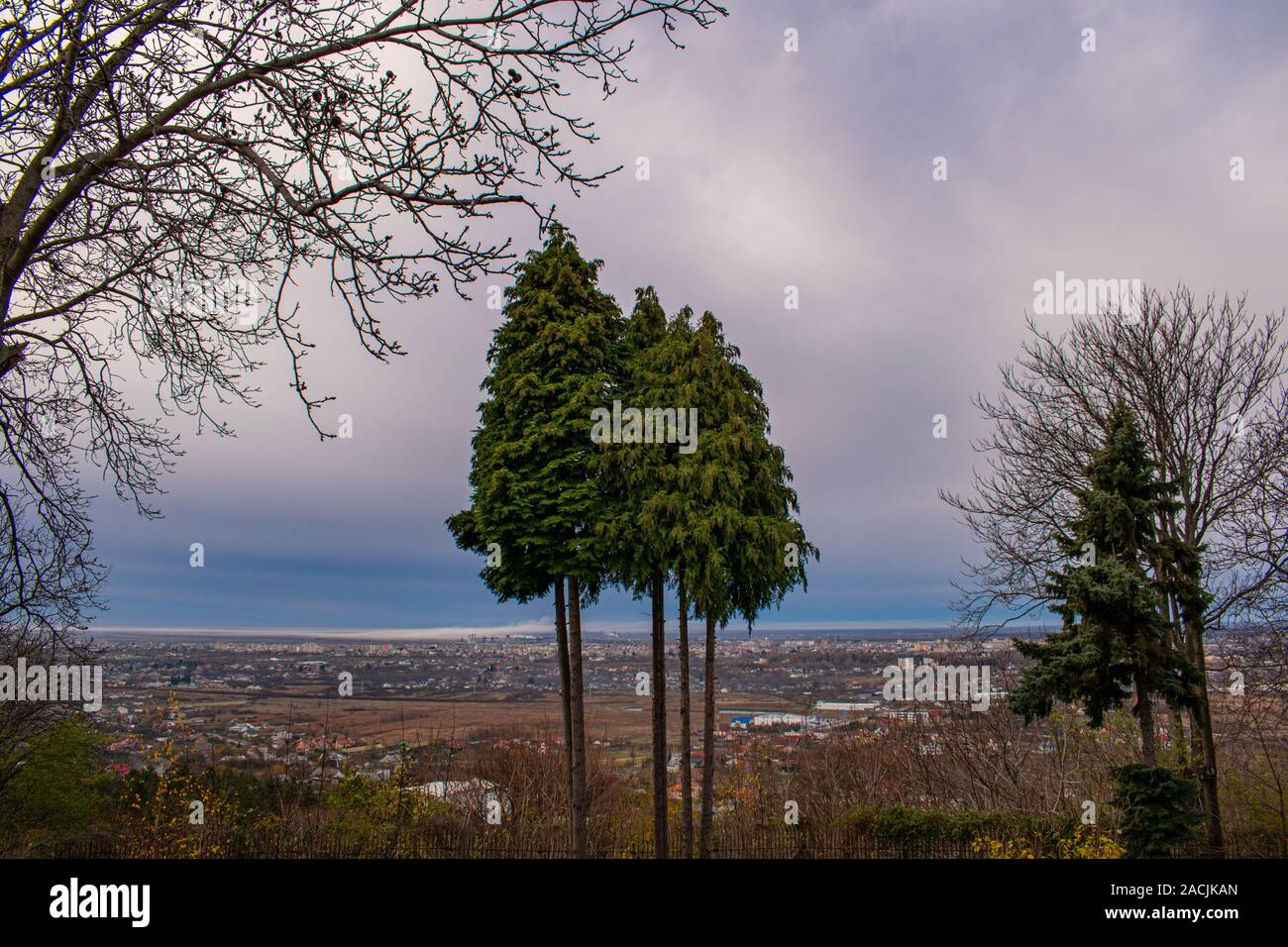 Zwei Einzelstehende Bäume mit einer Stadt im Hintergrund, an einem bewölkten Herbst Tag Stockfoto