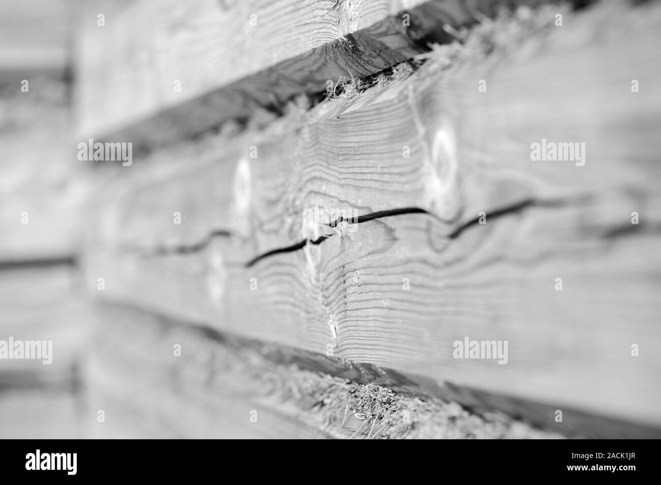 Eine hölzerne Wand von Logs und trockenem Moos Nahaufnahme. Zusammenfassung Hintergrund schwarz und weiß Stockfoto