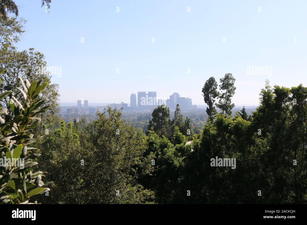 Downtown Los Angeles durch die Bäume am Greystone Villa in Beverly Hills gesehen. Stockfoto