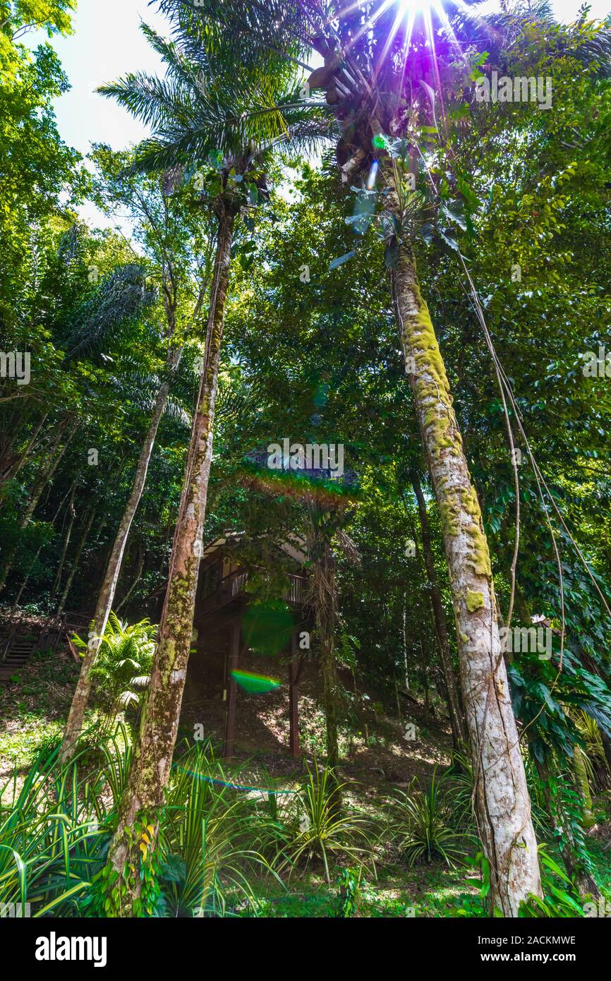 Berg en Dal Resort - August 2019: Sonne über Bungalow im Dschungel. Stockfoto