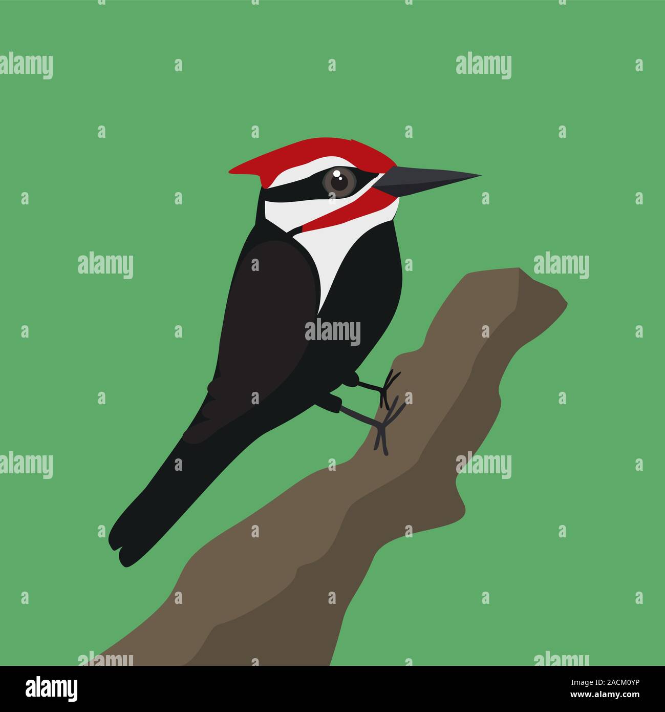 Ein Vektor Illustration eines Pileated Woodpecker auf einem Baumstamm mit grünem Hintergrund Stock Vektor