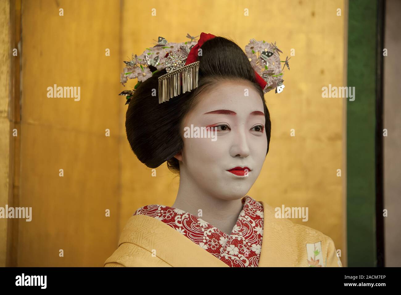 Kyoto, Japan - April 2014: Eine Maiko, oder junge geiko in der Ausbildung führt den traditionellen Tanz an eine kulturelle Veranstaltung, die Gäste zu unterhalten Stockfoto