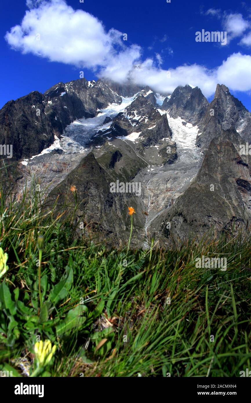 Sommer in den Alpen. Blauer Himmel, grüne Gras im Hintergrund und Vordergrund. Stockfoto