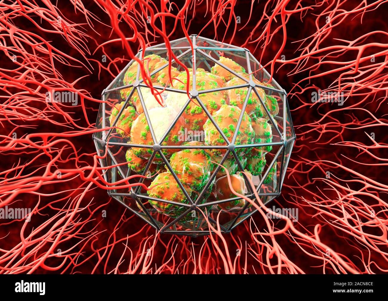 Angiogenesehemmer, konzeptionelle Bild. Computer Artwork zeigt eine geodätische Käfig Vermeidung neuer Blutgefäße vom Erreichen einer cancerous Tumor. Ang Stockfoto