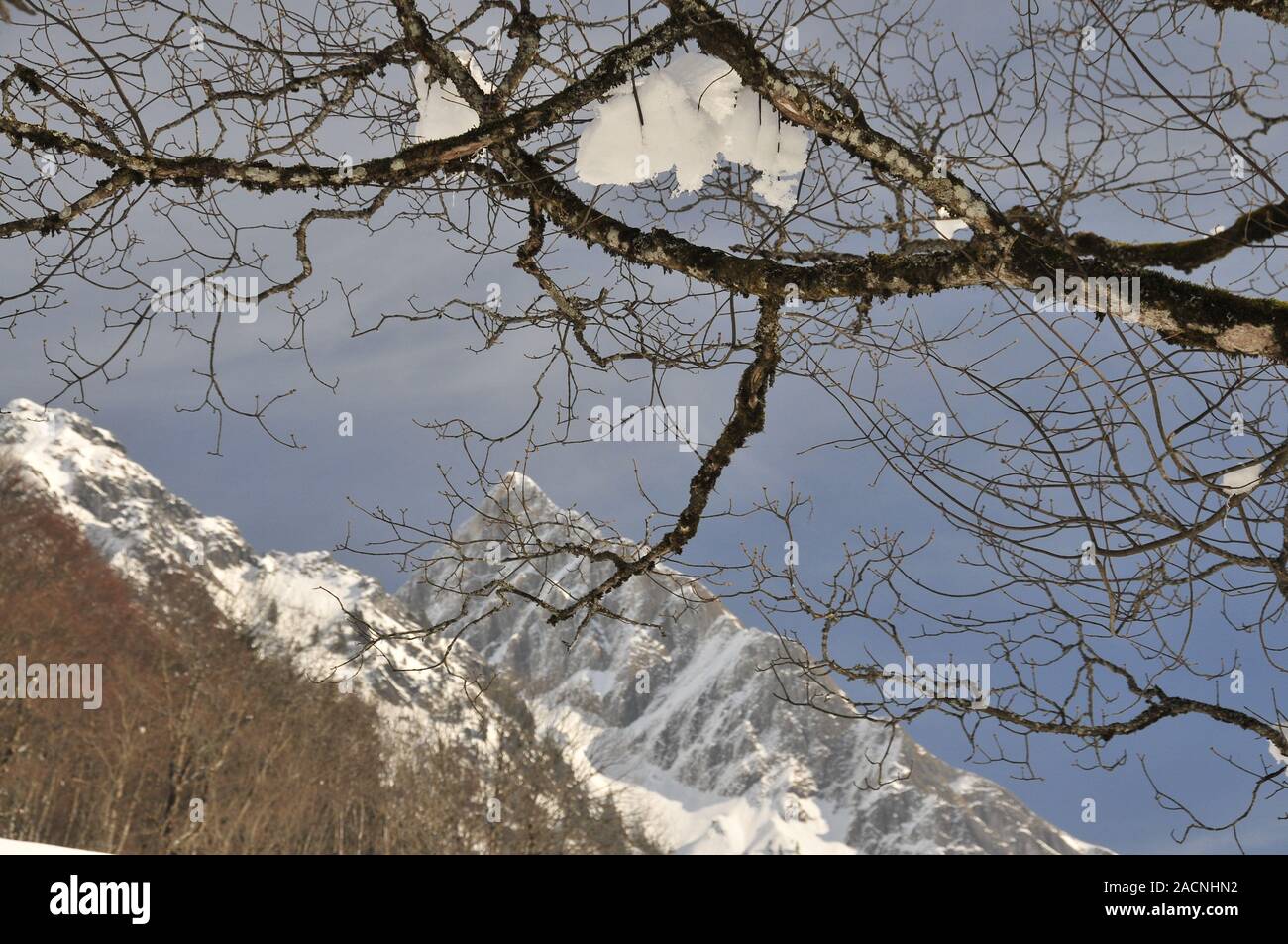 Gipfel der Höfats, 2259 m, in der Nähe von gerstruben Oberstdorf, Allgäuer Alpen, Allgäu, Bayern, Deutschland, Europa Stockfoto