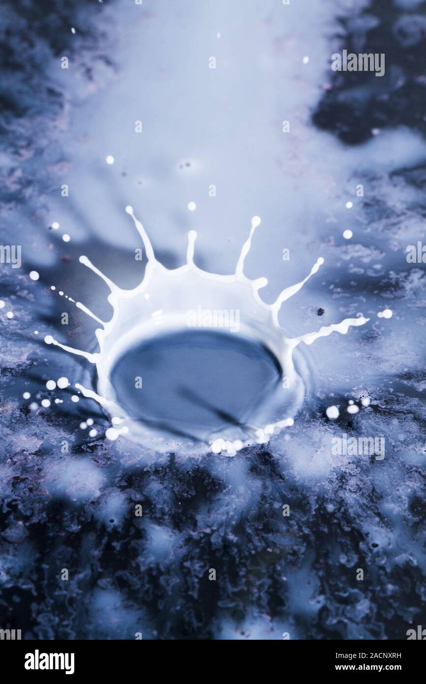 Milch droplet Stockfoto
