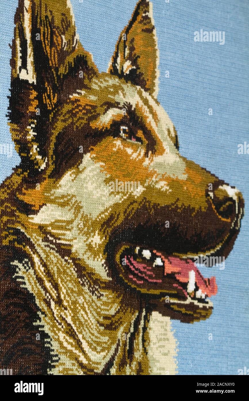 Wolle gestrickt Hund Stockfoto