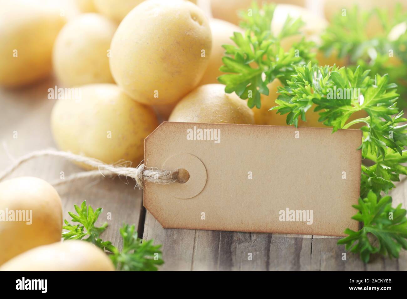 Neue Kartoffeln mit einem leeren Papier Etikett auf einer hölzernen Hintergrund Stockfoto