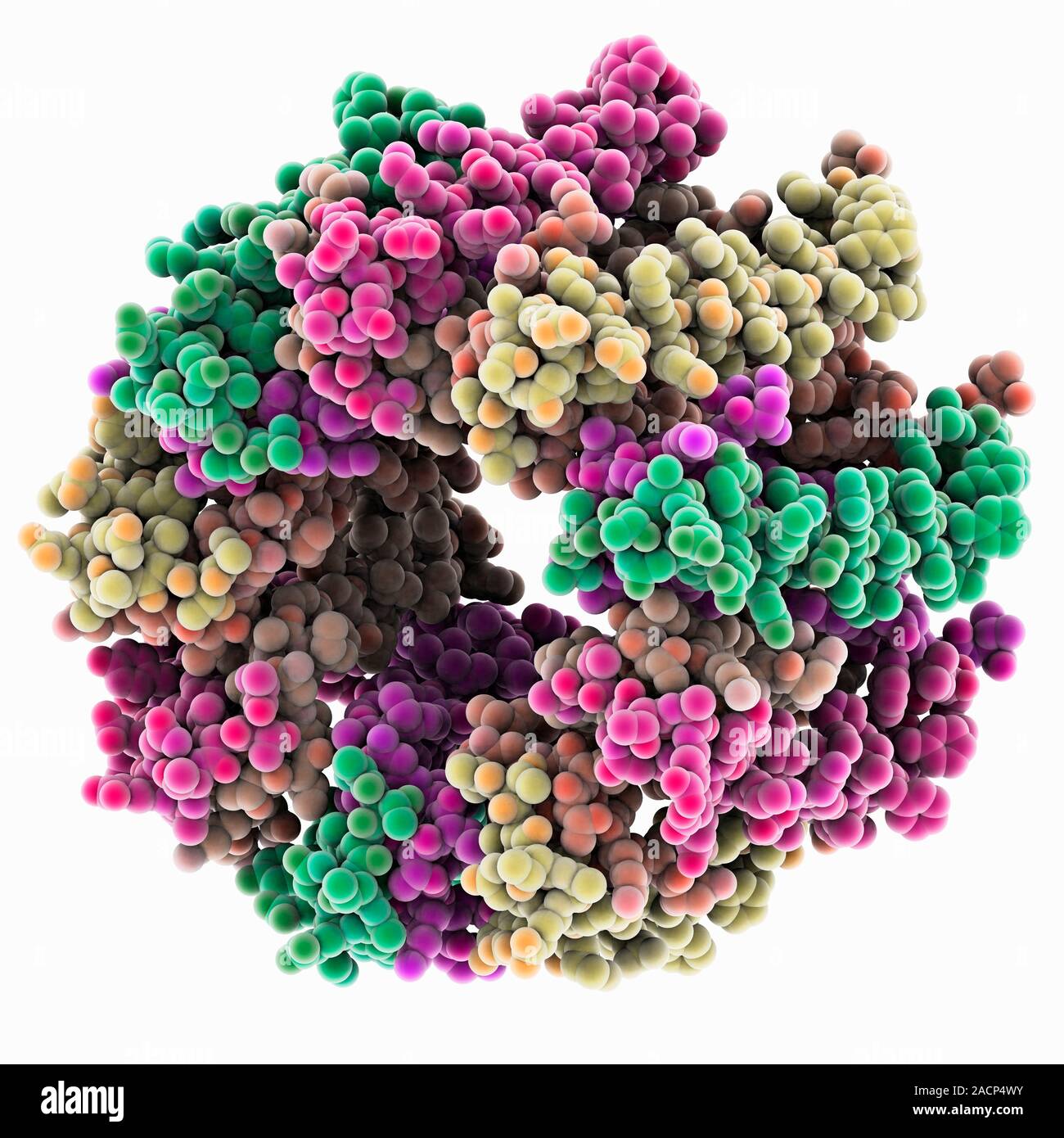 Lightharvesting Protein Complex, molekulare Modell. Periphere lightharvesting Protein Complex