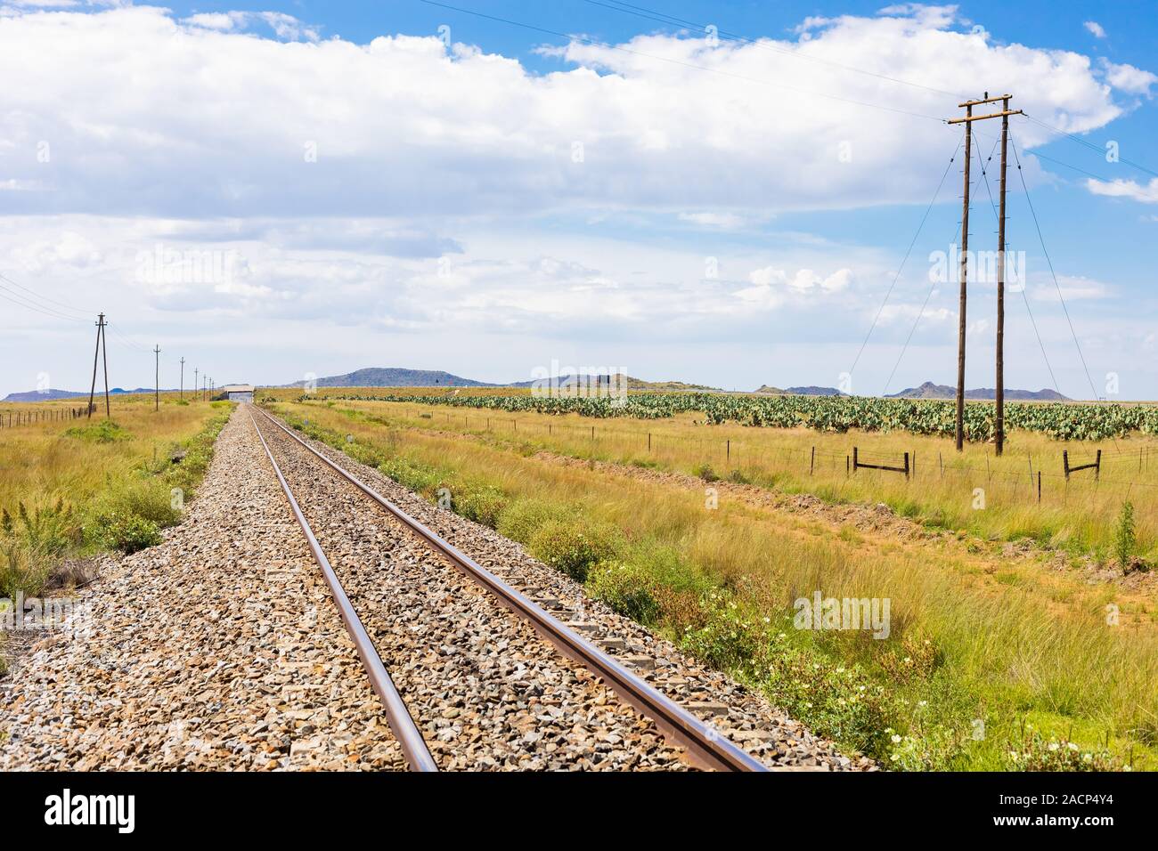 Leere stahl die Bahn in der Landschaft ländliche Ackerland Gebiet von Südafrika Stockfoto