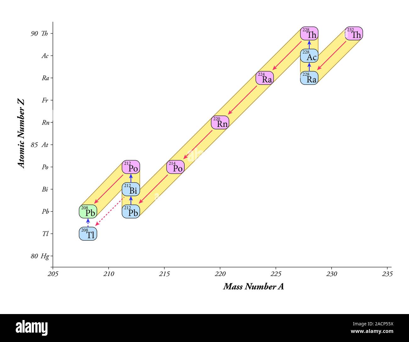 Nukleare Zerfallskette, thorium Serie. Diagramm der nuklearen Zerfallskette  von Thorium-232 (Th-232) mit Isotopen (durch chemische Symbole dargestellt)  gezeichnet von m Stockfotografie - Alamy