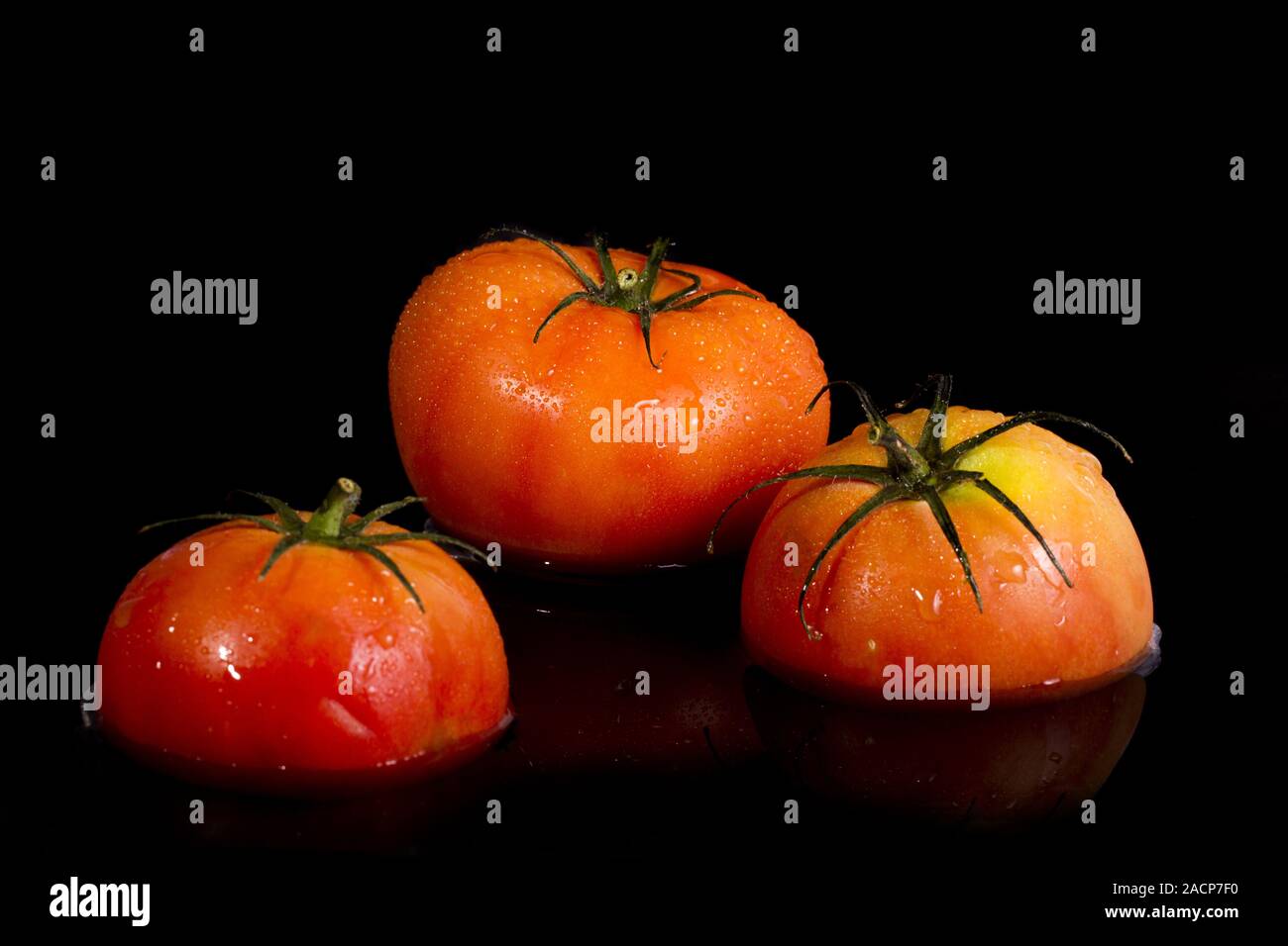 Drei rote Tomaten auf schwarzem Hintergrund Stockfoto