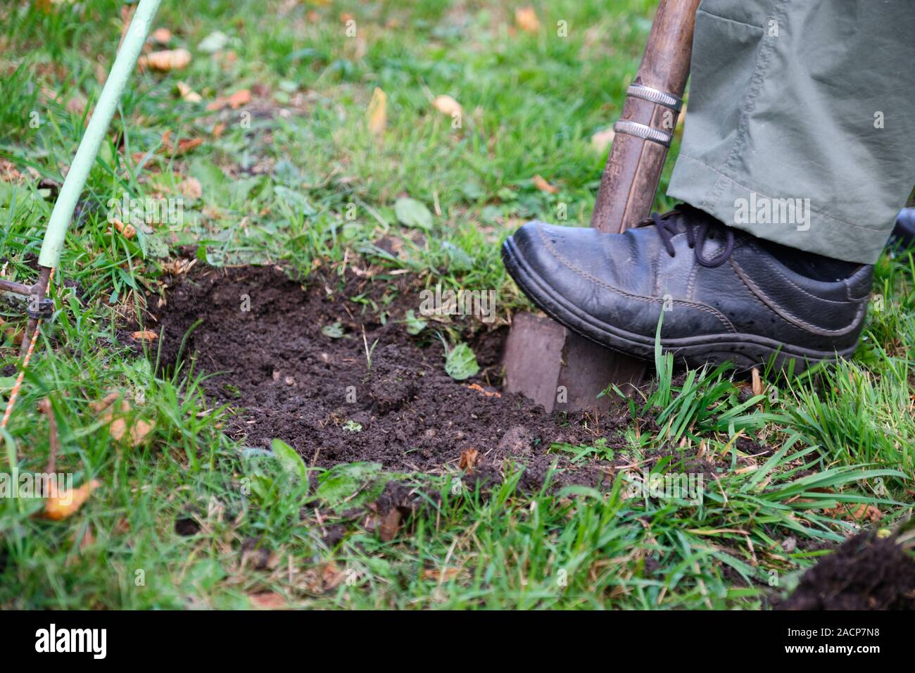 Close-up Schaufel gräbt ein Loch in einer Wiese Baum in Bayern, Deutschland zu pflanzen Stockfoto