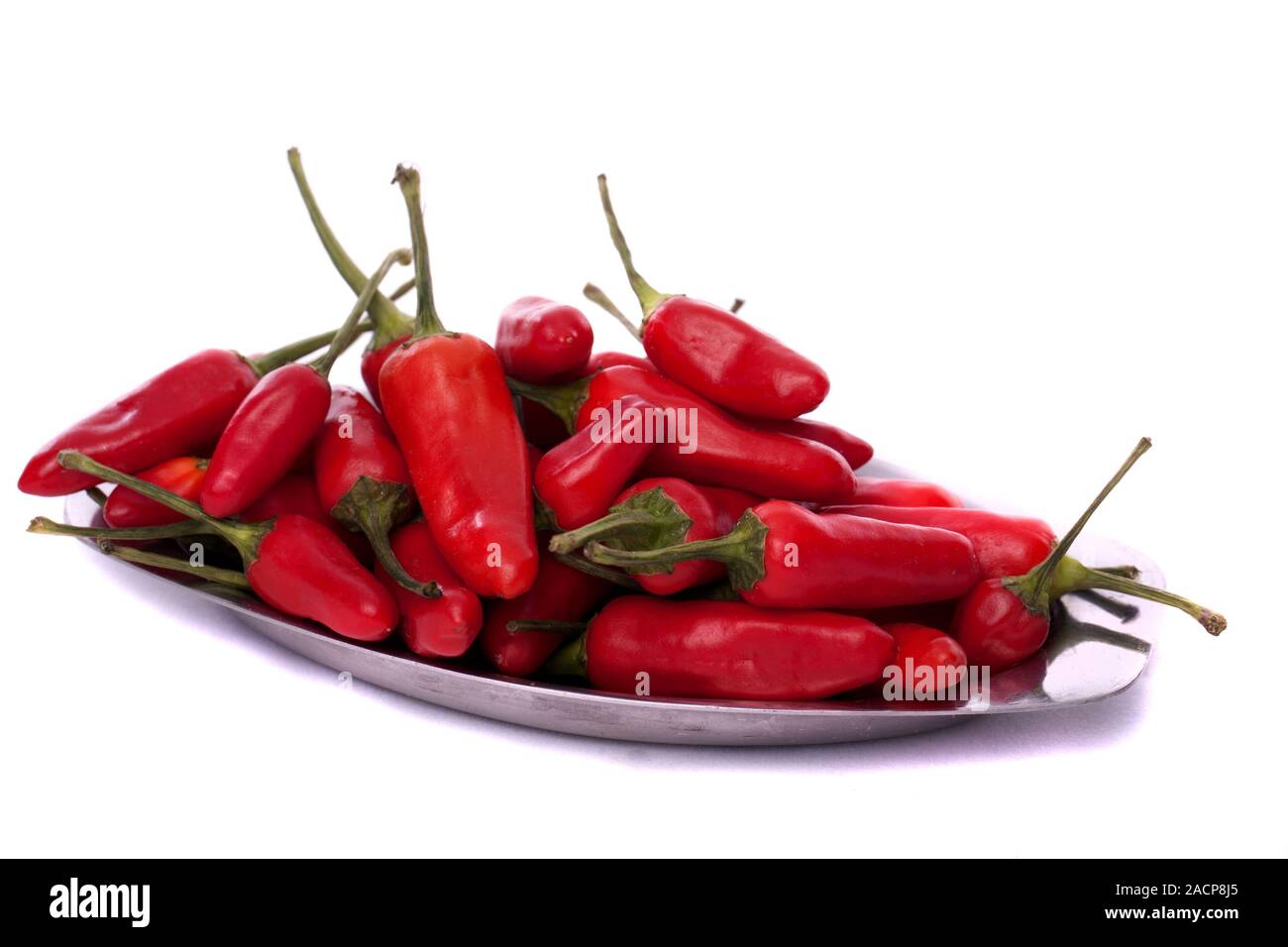 Strauß roter Chili peppers Stockfoto