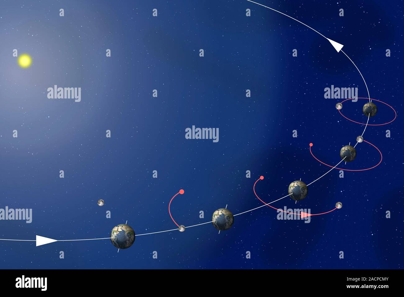 Wie Oft Umkreist Der Mond Die Erde Phasen des Mondes. Computer Artwork zeigt den Mechanismus hinter den