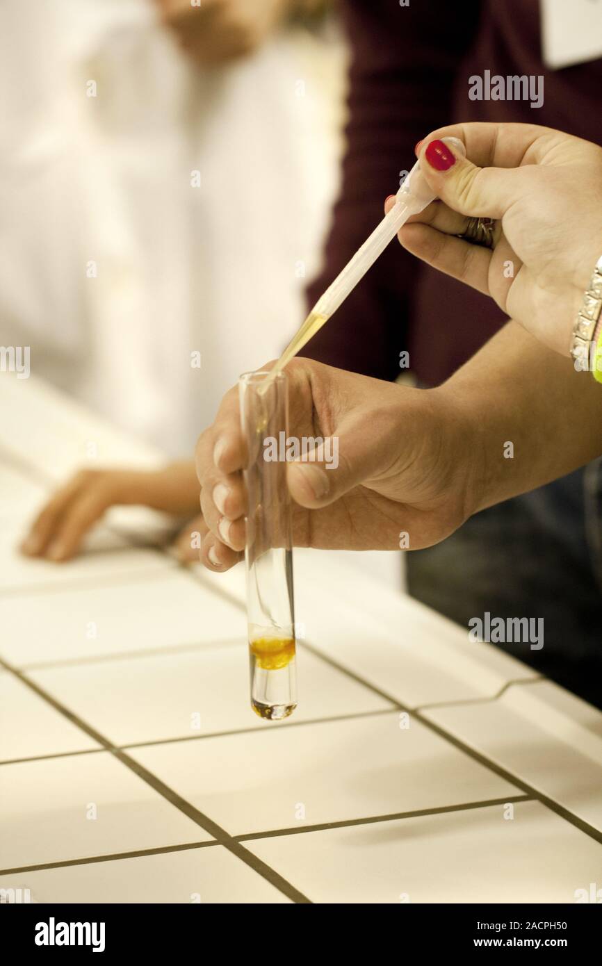 Chemieunterricht Stockfoto